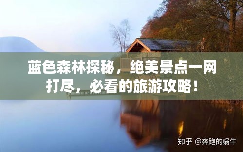 藍(lán)色森林探秘，絕美景點(diǎn)一網(wǎng)打盡，必看的旅游攻略！