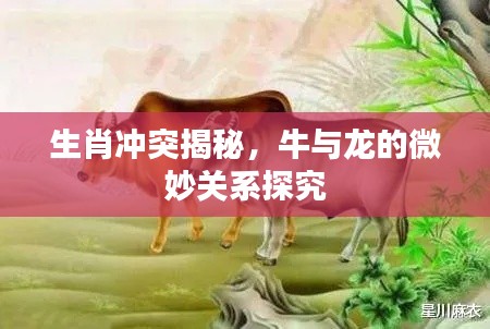 生肖沖突揭秘，牛與龍的微妙關系探究