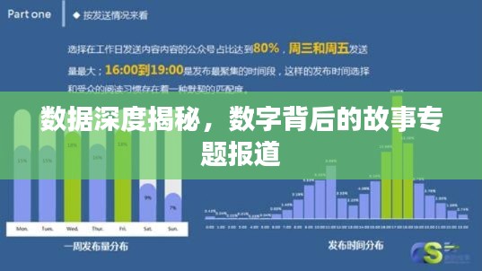 數(shù)據(jù)深度揭秘，數(shù)字背后的故事專題報道
