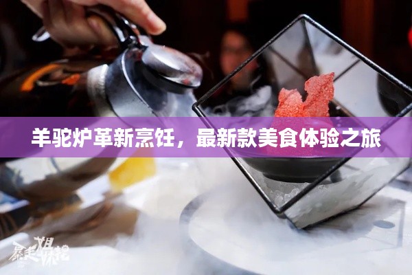 羊駝爐革新烹飪，最新款美食體驗之旅