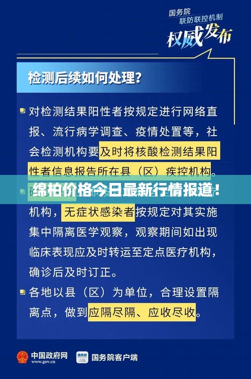 綿柏價格今日最新行情報道！