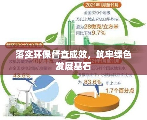 落實環保督查成效，筑牢綠色發展基石