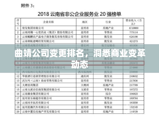 曲靖公司變更排名，洞悉商業變革動態
