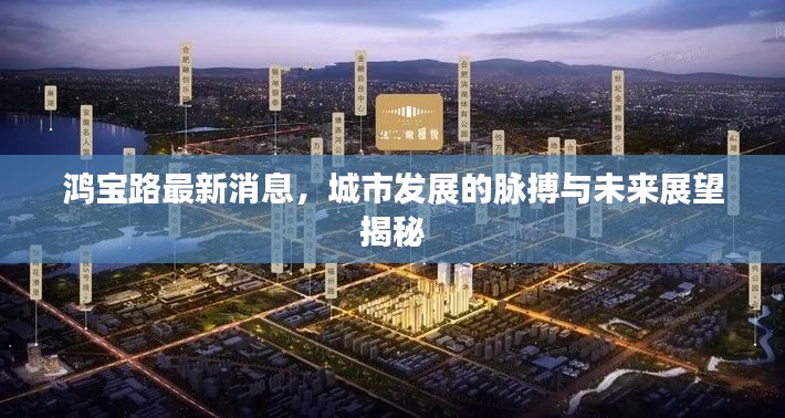 鴻寶路最新消息，城市發展的脈搏與未來展望揭秘