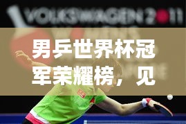 男乒世界杯冠軍榮耀榜，見證輝煌時刻，乒壇精英一覽無余