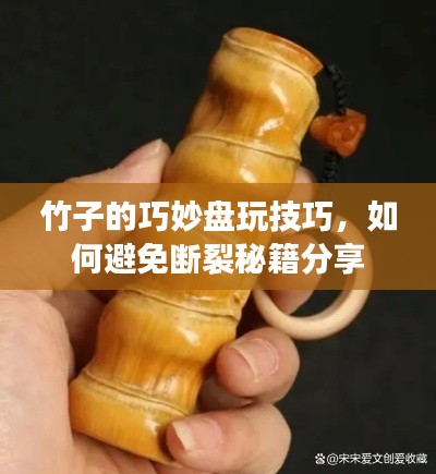 竹子的巧妙盤玩技巧，如何避免斷裂秘籍分享