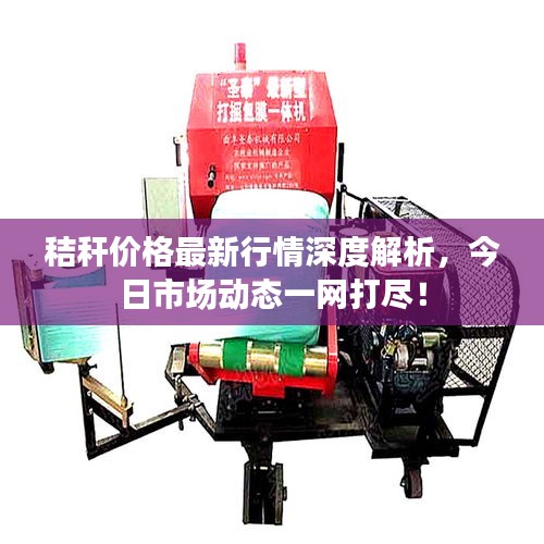 秸稈價格最新行情深度解析，今日市場動態一網打盡！