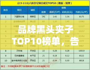 品牌黑頭夾子TOP10榜單，告別黑頭煩惱！