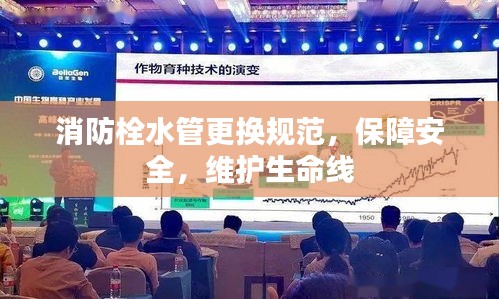 消防栓水管更換規范，保障安全，維護生命線