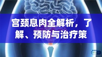 宮頸息肉全解析，了解、預防與治療策略