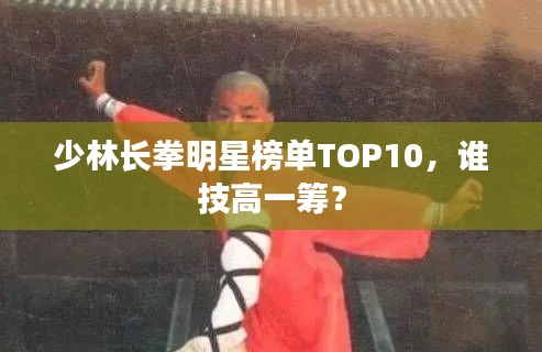 少林長拳明星榜單TOP10，誰技高一籌？