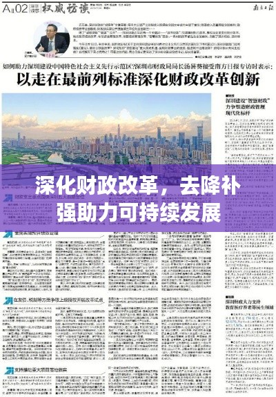 深化財政改革，去降補強助力可持續發展