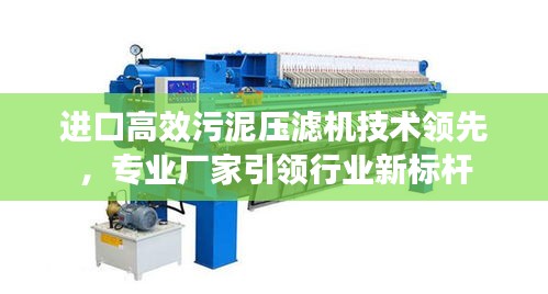 進口高效污泥壓濾機技術領先，專業廠家引領行業新標桿