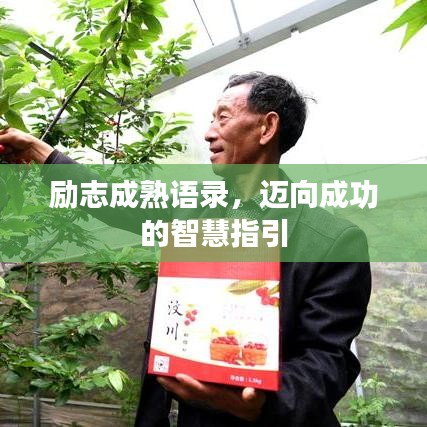 勵志成熟語錄，邁向成功的智慧指引