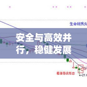 安全與高效并行，穩(wěn)健發(fā)展典范展現(xiàn)