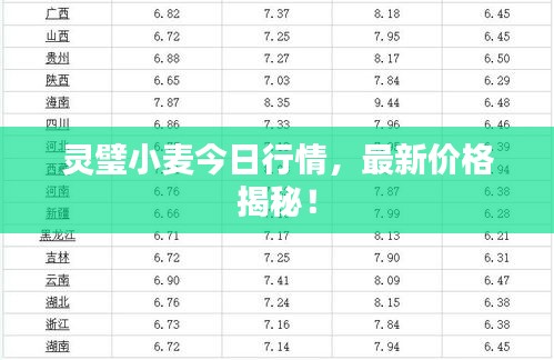 2025年6月15日