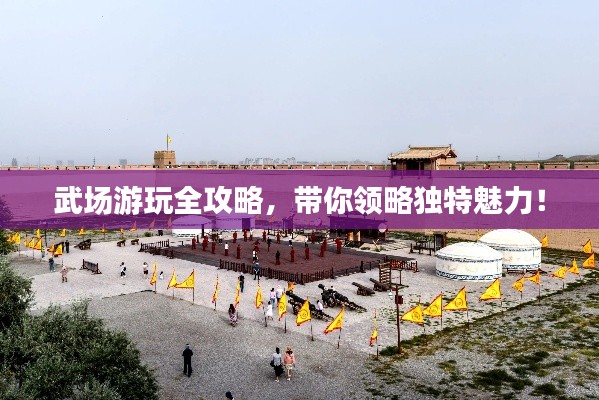 武場游玩全攻略，帶你領略獨特魅力！