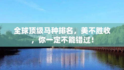 全球頂級馬種排名，美不勝收，你一定不能錯過！