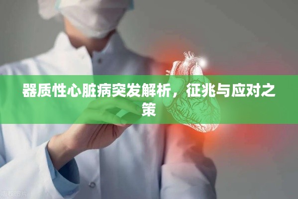 器質性心臟病突發解析，征兆與應對之策