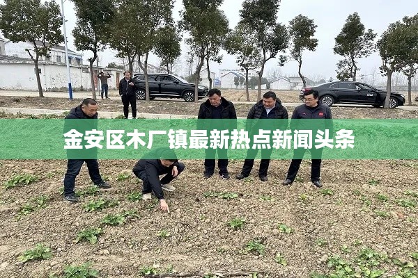 金安區(qū)木廠(chǎng)鎮(zhèn)最新熱點(diǎn)新聞?lì)^條