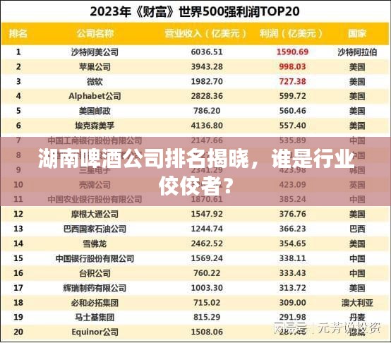 湖南啤酒公司排名揭曉，誰是行業佼佼者？