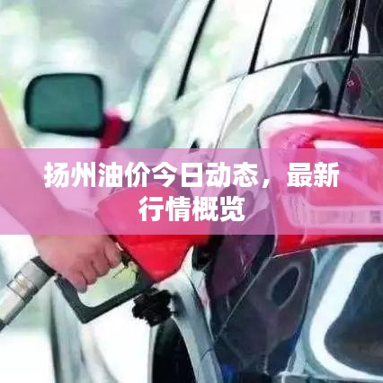揚州油價今日動態，最新行情概覽