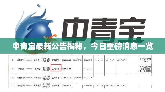 中青寶最新公告揭秘，今日重磅消息一覽
