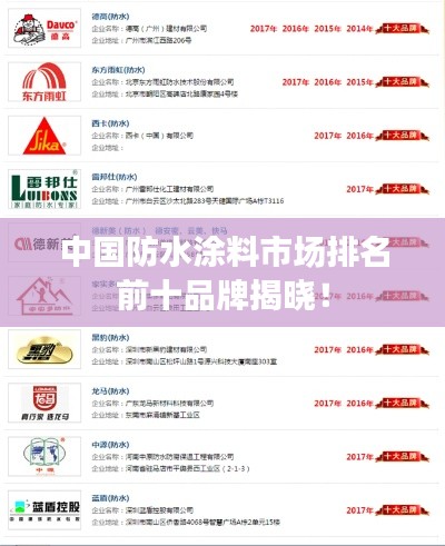 中國防水涂料市場排名前十品牌揭曉！