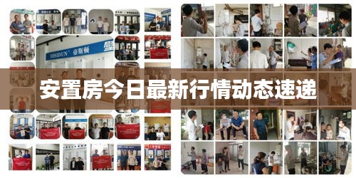 安置房今日最新行情動(dòng)態(tài)速遞