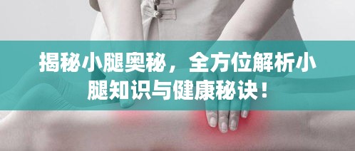 揭秘小腿奧秘，全方位解析小腿知識(shí)與健康秘訣！