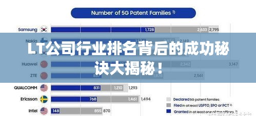 LT公司行業排名背后的成功秘訣大揭秘！