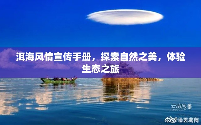 洱海風(fēng)情宣傳手冊，探索自然之美，體驗生態(tài)之旅