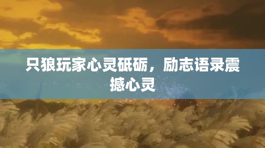 只狼玩家心靈砥礪，勵志語錄震撼心靈