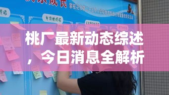 桃廠最新動態綜述，今日消息全解析