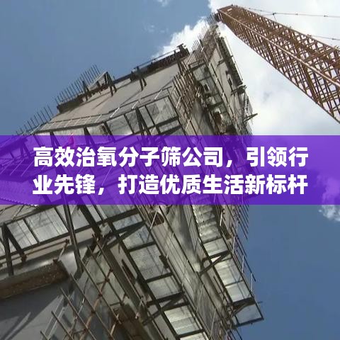 高效治氧分子篩公司，引領行業先鋒，打造優質生活新標桿