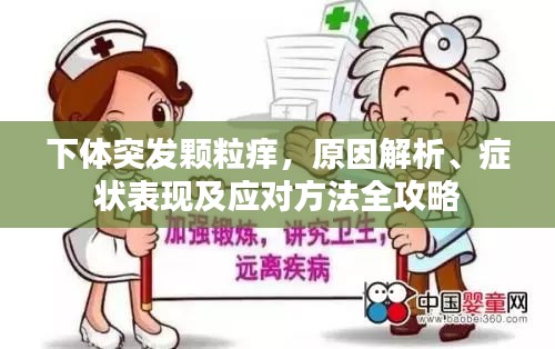 下體突發顆粒癢，原因解析、癥狀表現及應對方法全攻略