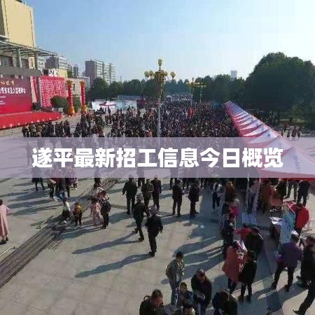 遂平最新招工信息今日概覽