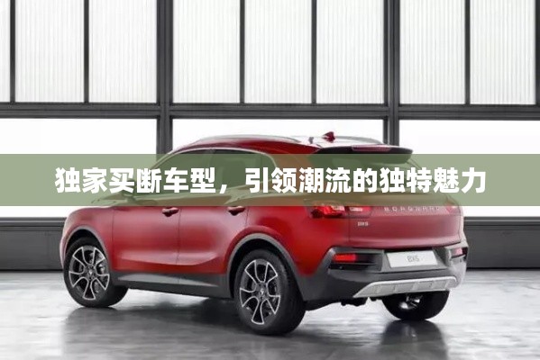 獨家買斷車型，引領潮流的獨特魅力