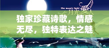 獨家珍藏詩歌，情感無盡，獨特表達之魅力