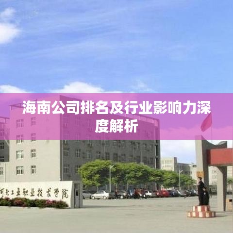 海南公司排名及行業影響力深度解析