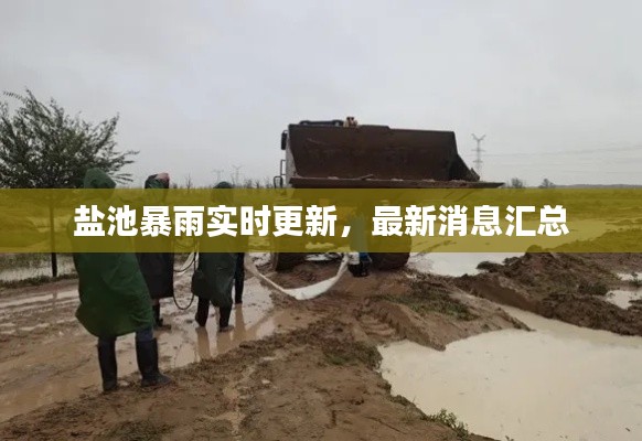鹽池暴雨實時更新，最新消息匯總