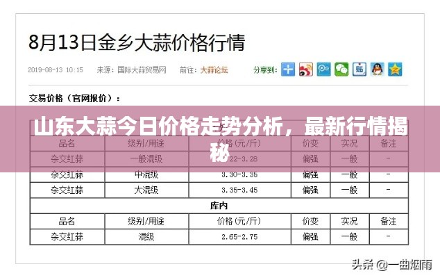 山東大蒜今日價格走勢分析，最新行情揭秘