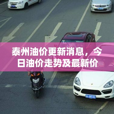 泰州油價更新消息，今日油價走勢及最新價格表全解析