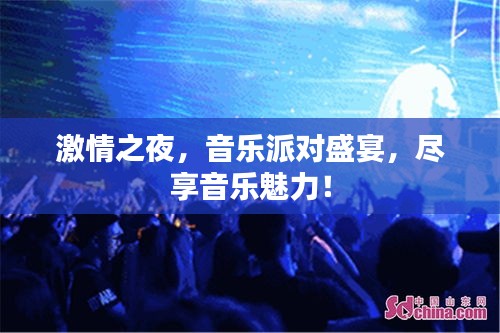 激情之夜，音樂派對盛宴，盡享音樂魅力！
