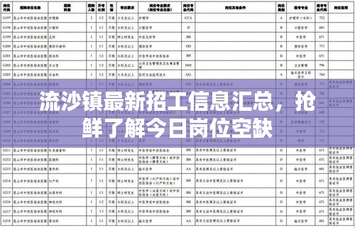 流沙鎮最新招工信息匯總，搶鮮了解今日崗位空缺