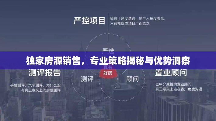 獨家房源銷售，專業(yè)策略揭秘與優(yōu)勢洞察