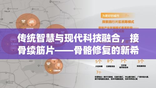 傳統智慧與現代科技融合，接骨續筋片——骨骼修復的新希望