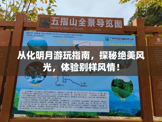 從化明月游玩指南，探秘絕美風光，體驗別樣風情！