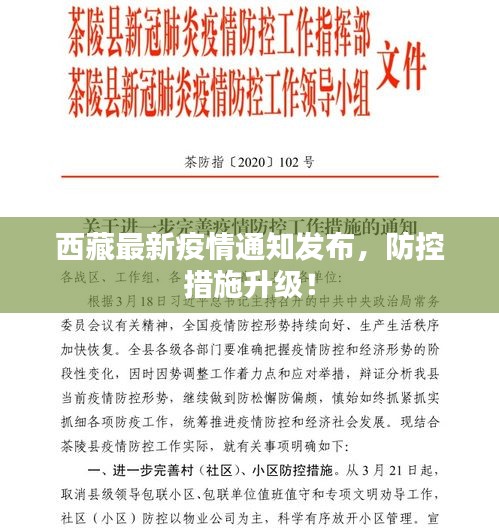 西藏最新疫情通知發(fā)布，防控措施升級！
