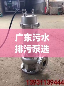 廣東污水排污泵選型指南，規范選購，高效排水